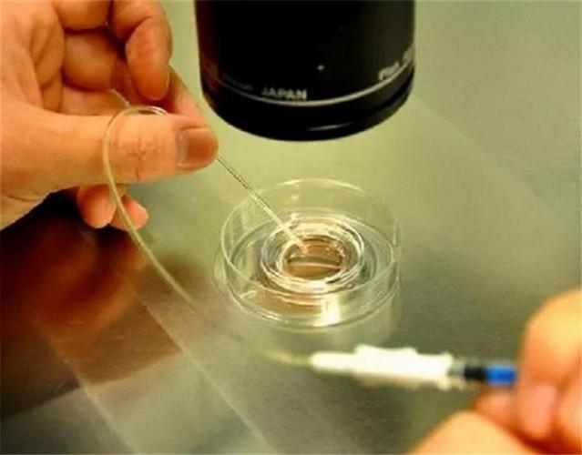 现在国内能试管代怀吗(国内试管代怀孕政策及现状分析)