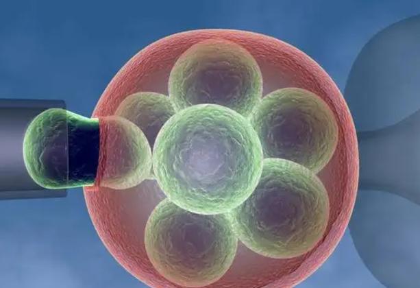 国内借卵试管代怀中心-国内借卵试管代怀中心：助您圆梦做父母