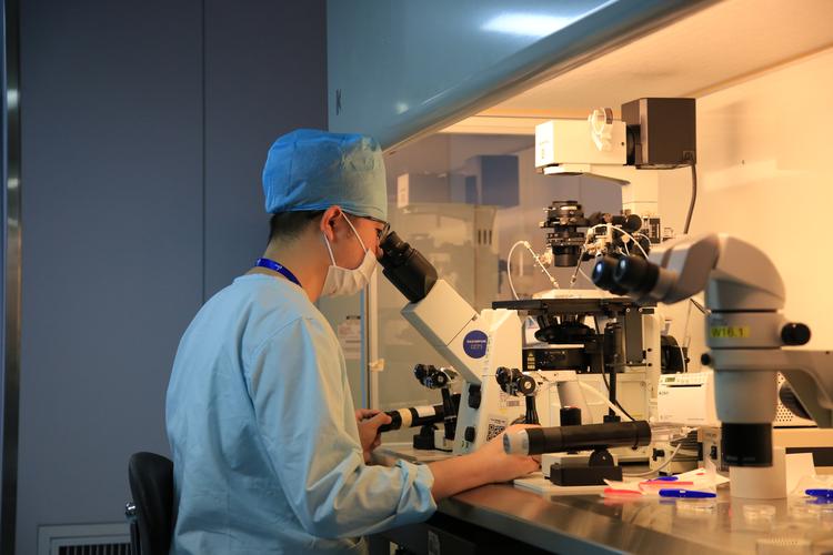 国内试管代怀中心(国内试管代怀中心：助您实现梦想)