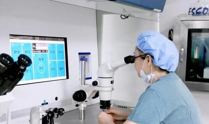 国内哪家医院可以做试管代怀【国内哪家医院可做试管代怀中心】