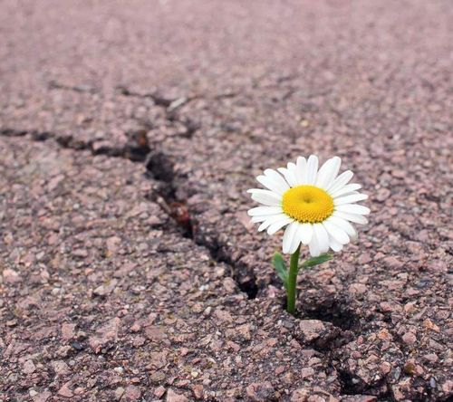 国内同性恋试管代怀公司哪家好-国内同性恋试管代怀公司哪家好?选择最佳代怀机构的关键因素