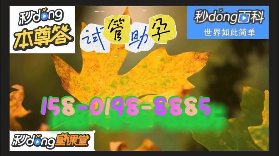 国内医院供卵试管代怀(国内医院供卵试管代怀服务全解析)