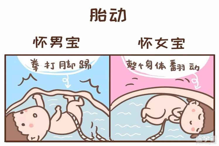 国内包生男孩有哪些-国内包生男孩有哪些选择方式