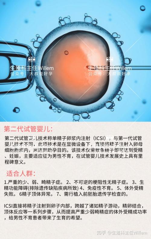 国内试管代怀哪里最好(国内试管代怀哪里最好？)