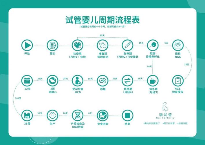 国内试管代怀流程(国内试管代怀流程全面解析)