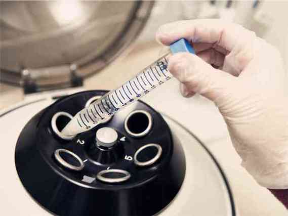 国内借卵试管代怀公司【国内借卵试管代怀公司：助您圆梦成家】