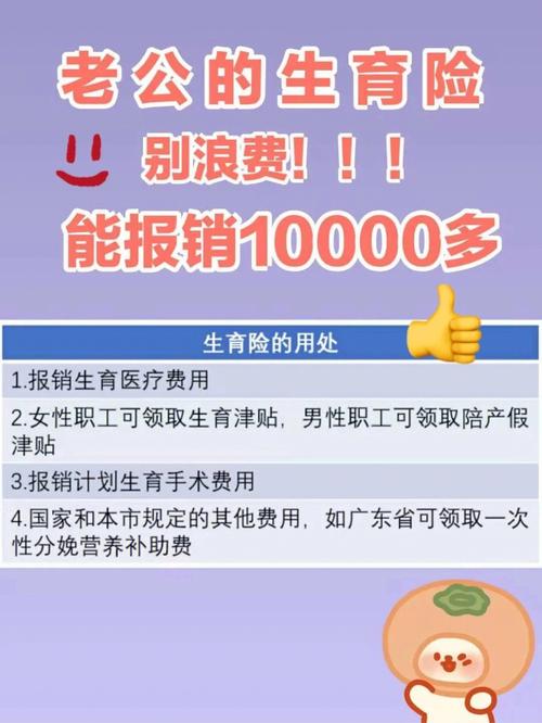 国内代生孩子去_国内代生孩子去：生育服务调查