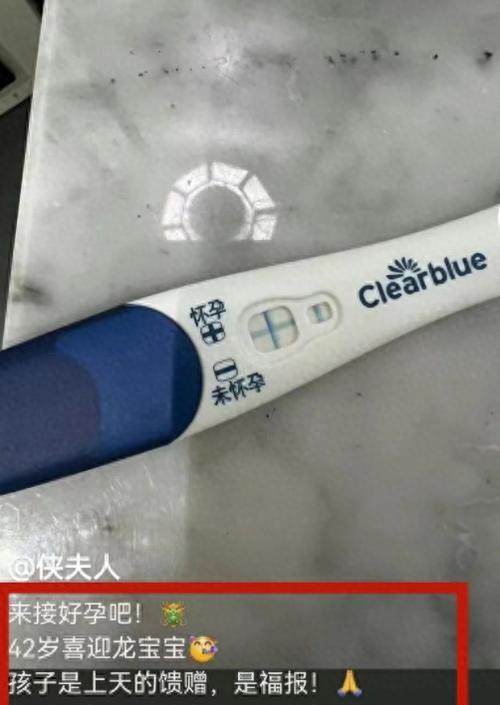 国内借卵试管代怀可靠吗(国内借卵试管代怀可靠吗？解读国内代怀孕的安全性)