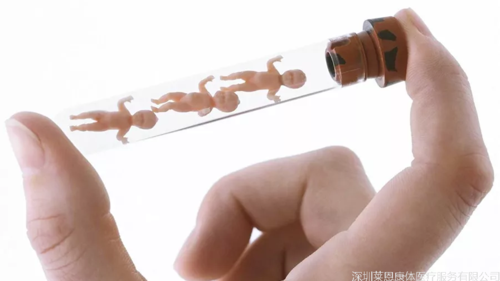 国内哪里有做供卵试管代怀的-国内哪里可以做供卵试管代怀？