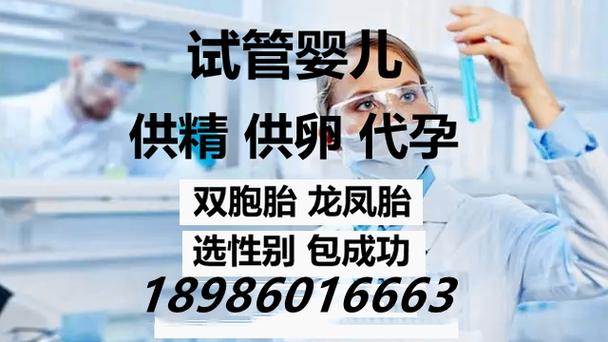 国内供卵代生子【国内供卵代生子：伦理、法律与实践】