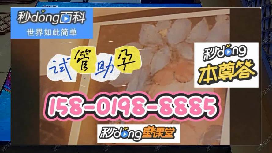 国内供卵公司-国内供卵公司：助力家庭梦想实现