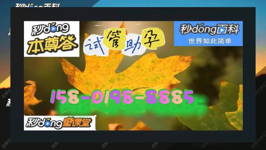 国内试管代怀公司(国内试管代怀公司：助您圆梦成家)