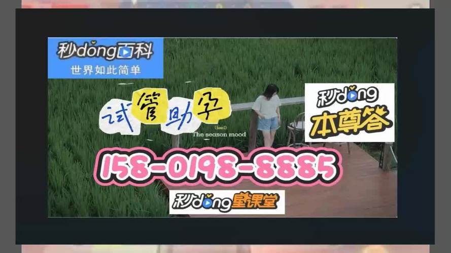 国内同性恋试管代怀-国内同性恋者试管代怀：新生命的可能性