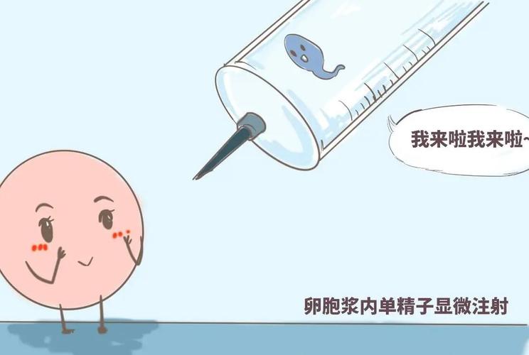 国内代生孩子犯法吗【国内代生孩子犯法吗?】