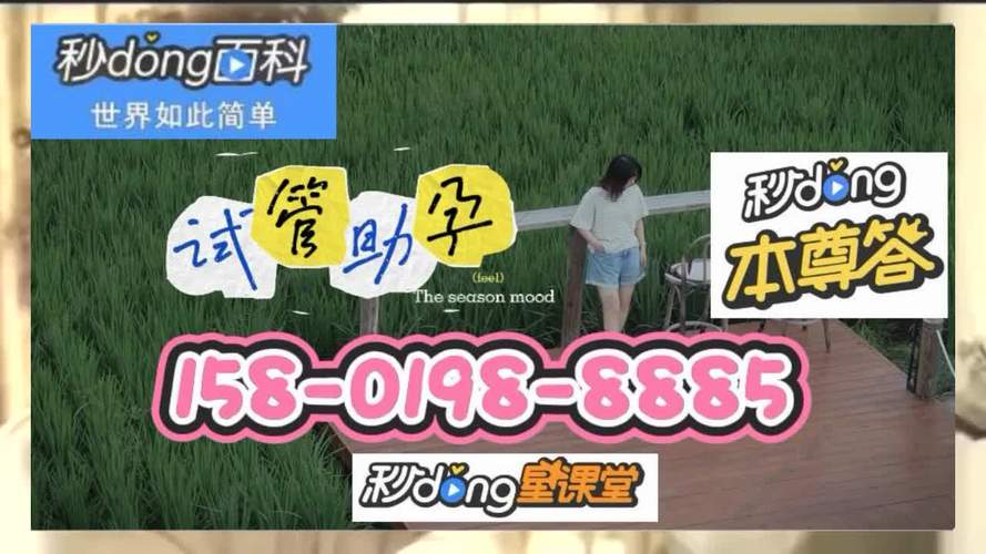 国内试管代怀包生男孩零风险-国内试管代怀包生男孩零风险计划