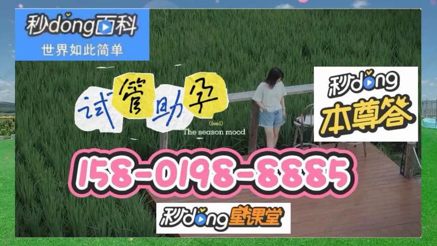 国内供卵试管代怀男孩全包(国内供卵试管代怀男孩全包服务)