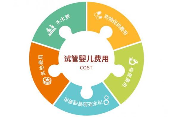 国内试管代怀费用_国内试管代怀费用优惠政策解读