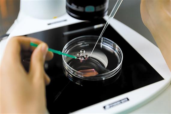 国内供卵试管代怀公司(国内供卵试管代怀公司:助您实现梦想)