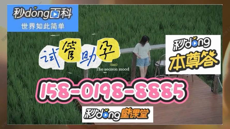国内借卵试管代怀微信群(国内借卵试管代怀微信群,助力生育梦想)