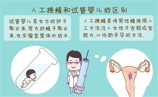 国内借卵试管代怀零风险-国内零风险借卵试管代怀服务