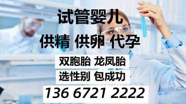 国内供卵试管代怀包男孩(国内供卵试管代怀包男孩的全面解读)