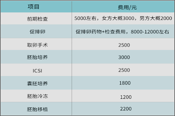 国内试管代怀是如何收费的_国内试管代怀收费标准解析