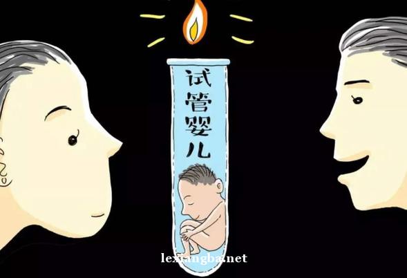 国内借卵试管代怀包男孩_国内借卵试管代怀包男孩的故事